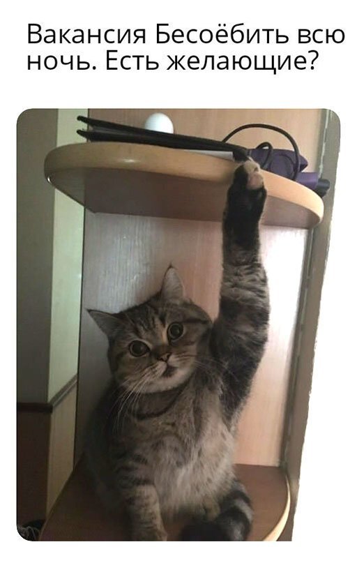 Прикольные и смешные картинки