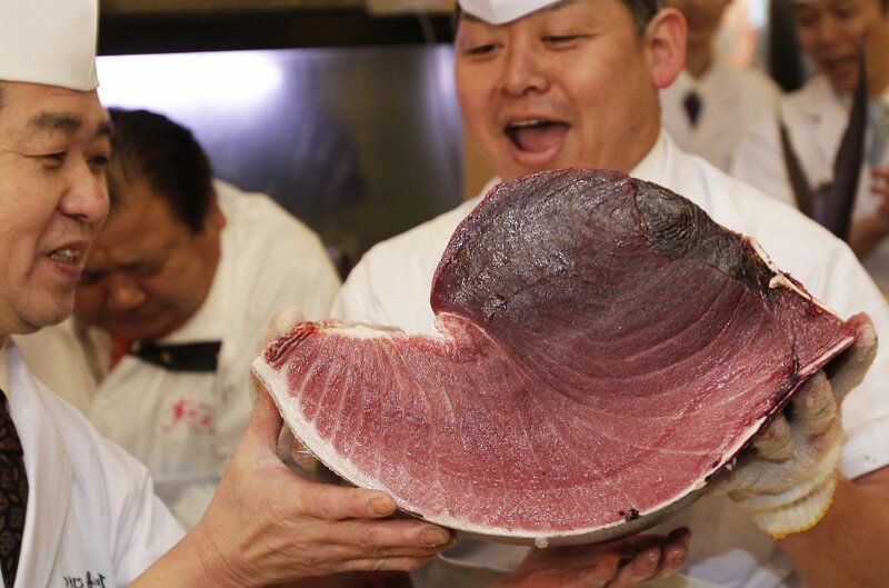 Рыбаки поймали гигантского тунца, который может стоить миллионы и выпустили его обратно в океан