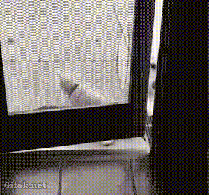 Гифки разные Гифки разные