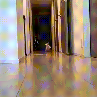 Гифки разные Гифки разные