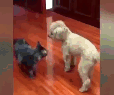 Гифки разные Гифки разные