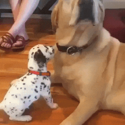 Гифки разные Гифки разные