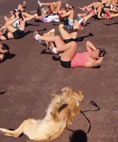 Гифки разные Гифки разные