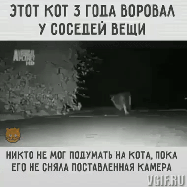 Гифки разные Гифки разные