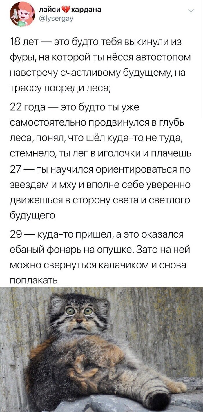 Скрины из социальных сетей