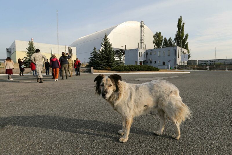 Опубликовано видео из диспетчерской четвертого энергоблока Чернобыльской АЭС