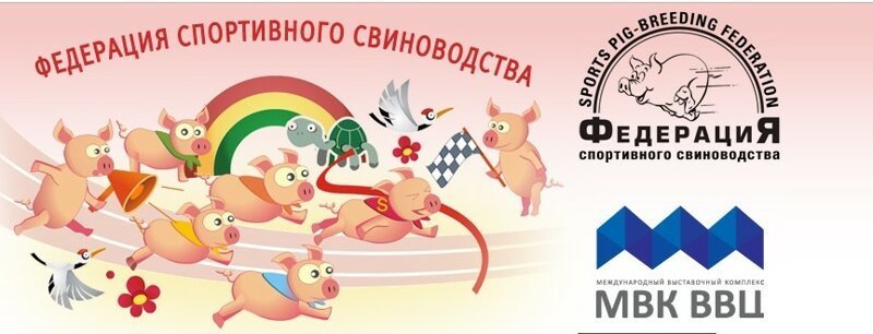 В России есть Федерация спортивного свиноводства. С президентом и гимном