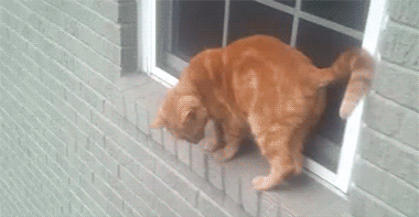 Гифки разные