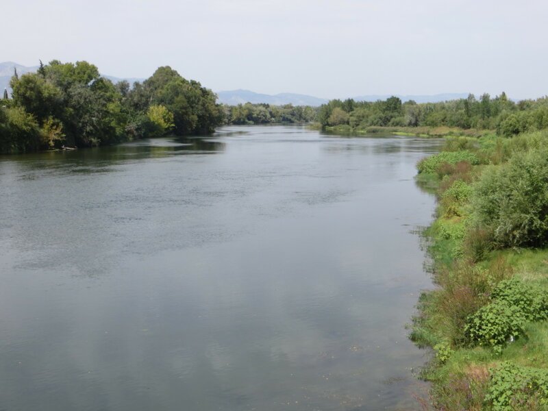 Река Эбро и её обитатели