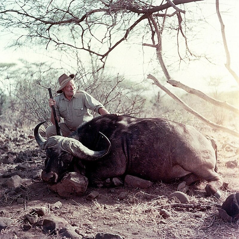 Эрнест Хемингуэи на охоте в Африке. 1953-1954 гг. 