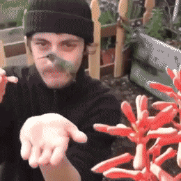 Звериные гифки