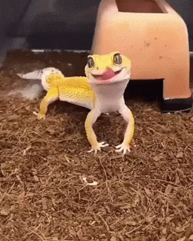 Довольная рожица