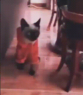 Гифки разные