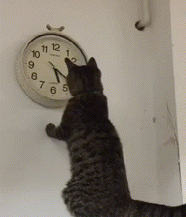 Гифки разные