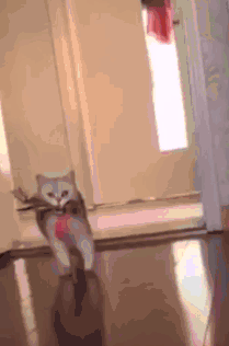 Гифки разные