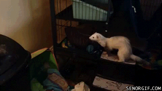 Гифки разные