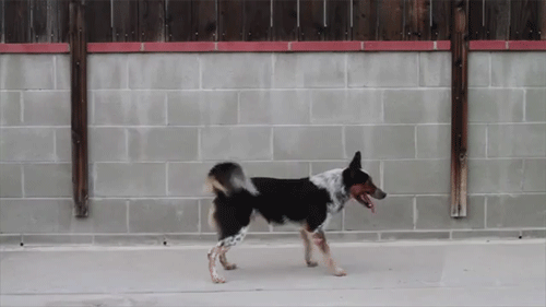 Гифки разные