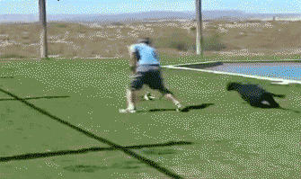 Гифки разные