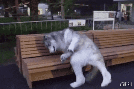 Гифки разные