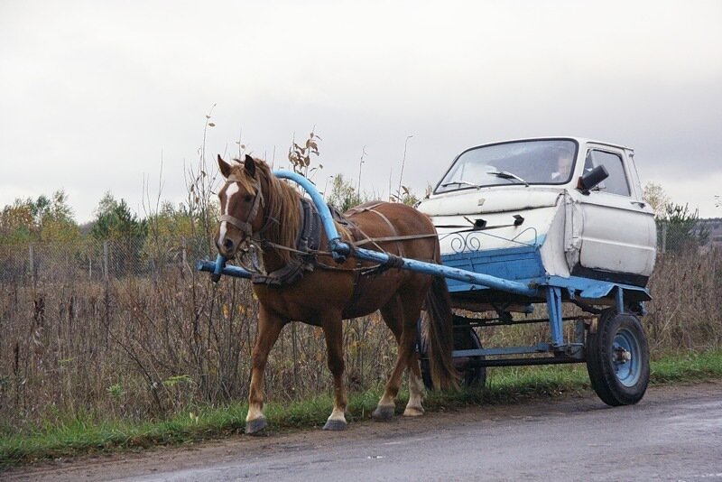 Автомобиль в упряжке