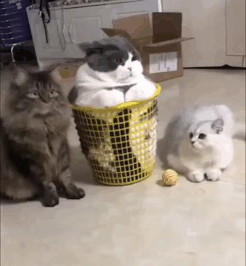 Гифки разные