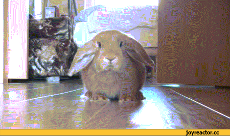 Гифки разные