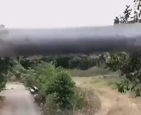 Муравьиная переправа