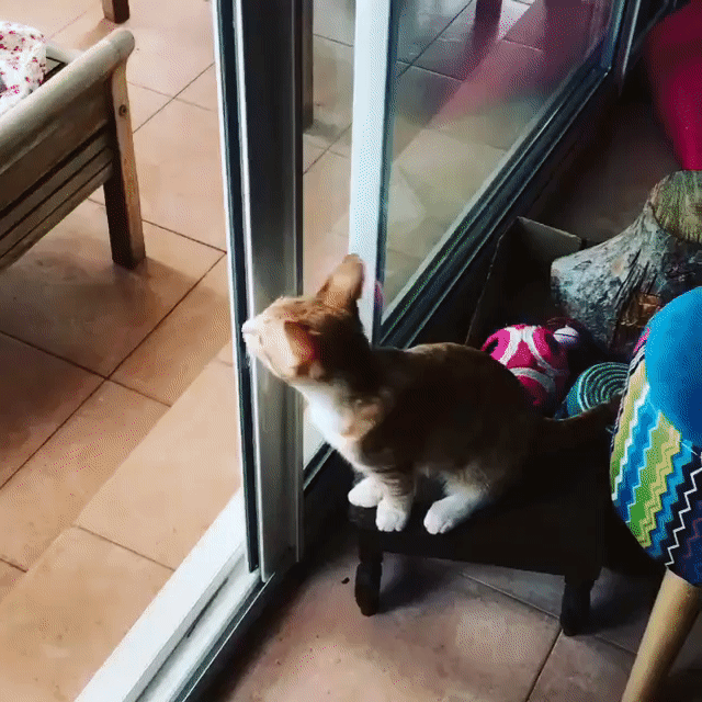 Гифки разные Гифки разные