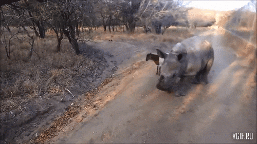 Гифки разные Гифки разные