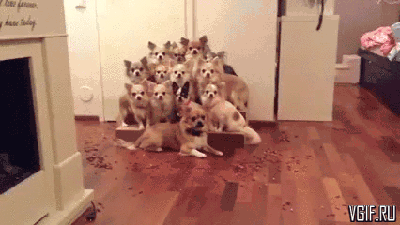 Гифки разные Гифки разные