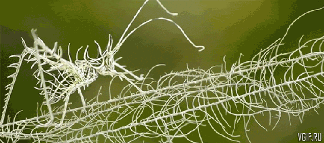 Гифки разные Гифки разные