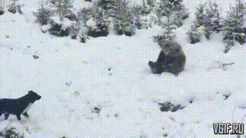 Гифки разные Гифки разные