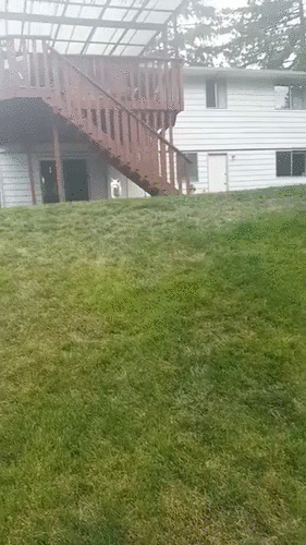 Гифки разные