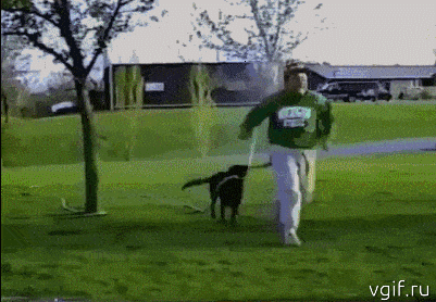 Гифки разные