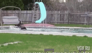 Гифки разные