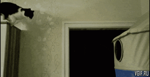 Гифки разные