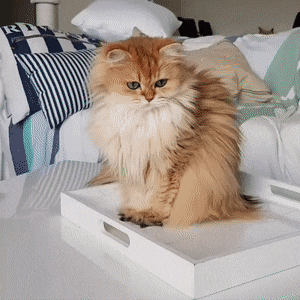 Прикольные гифки