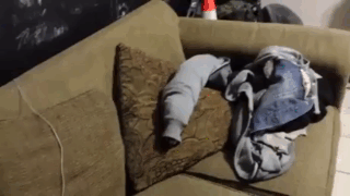 Прикольные гифки