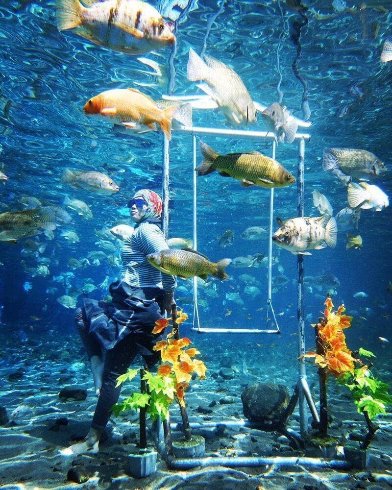 Здесь посетители могут сфотографироваться под водой