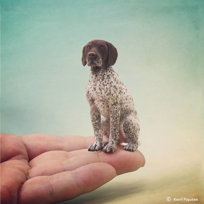 Как живые: Невероятные миниатюрные скульптуры Керри Паюти