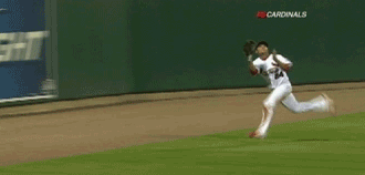 Гифки всякие