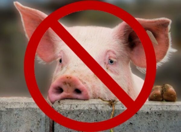 Почему запрещено мусульманам есть свинину: религиозный аспект