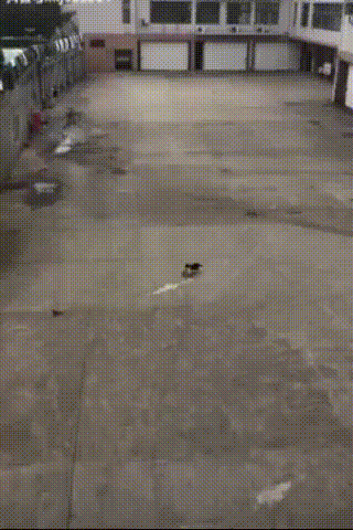 Гифки разные