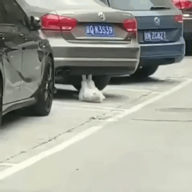 Гифки разные