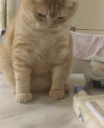 Гифки разные