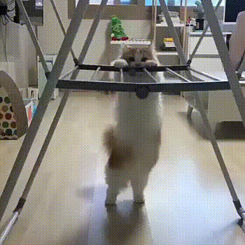 Гифки разные Гифки разные