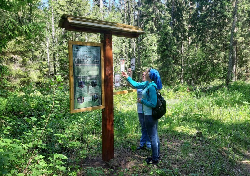 Туристическая тропа длиной почти 60 км оборудована в Новгородской области