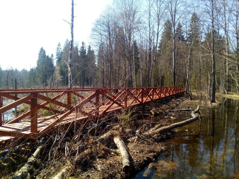 Туристическая тропа длиной почти 60 км оборудована в Новгородской области