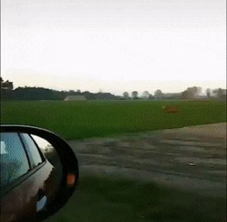 Подборка гифок