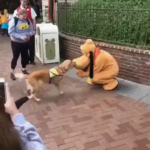 Подборка гифок